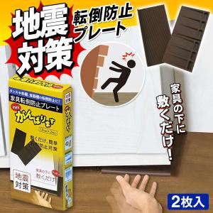 家具転倒防止 安定板 耐震 ストッパー 振動を吸収 特殊構造 2枚入り 地震対策 敷くだけ簡単 転倒防止プレート 本棚 タンス 食器棚 防災用品 /60N◇ 家具転倒防止