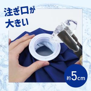 氷のう アイスバッグ 発熱 怪我 氷嚢 スポー...の詳細画像2