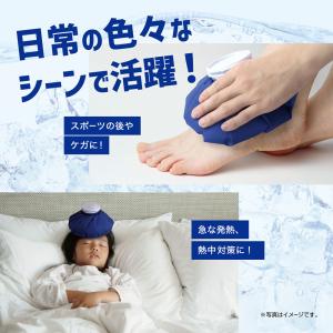 氷のう アイスバッグ 発熱 怪我 氷嚢 スポー...の詳細画像3