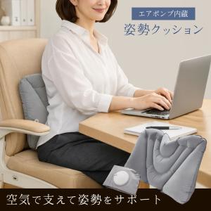 エアークッション 腰枕 エアポンプ内蔵 飛行機 腰 枕 旅行 エアクッション 車 椅子 背もたれ 座布団 エアーピロー /60N◇ ポンプ付姿勢クッション