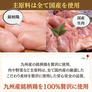 ドッグフード 無添加 国産 涙やけ 毛並み 子...の詳細画像3