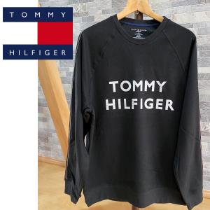 TOMMY HILFIGER トミー ヒルフィガー ブランドロゴ スリーブライン ロングスリーブTシャツ 長袖 メンズ ブランド｜topism