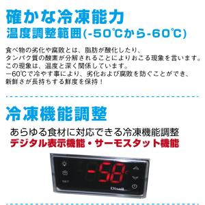 メーカー在庫限り【送料別途品】超低温冷凍ストッ...の詳細画像1