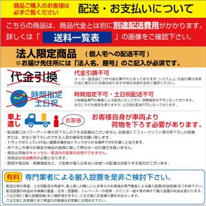 メーカー在庫限り【送料別途品】超低温冷凍ストッ...の詳細画像5