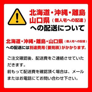 ダイヤセーフ 耐火金庫 D34-1 ダイヤル式...の詳細画像3
