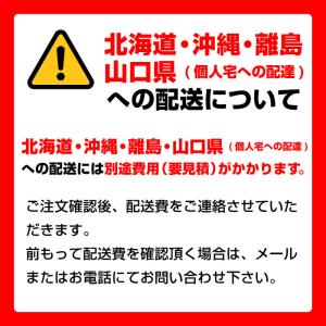【車上渡し】ダイヤル式 耐火金庫 ダイヤセーフ...の詳細画像3
