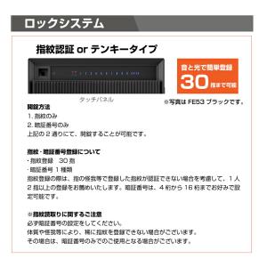 【搬入設置料金込み】指紋認証式 耐火金庫 ダイ...の詳細画像5
