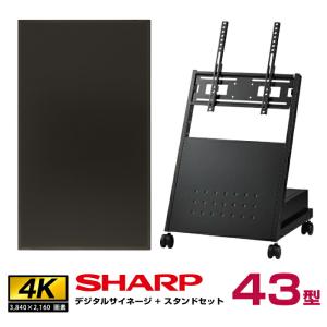 シャープ 4K対応デジタルサイネージ 43型 PN-HW431 低床型スタンドセット ハヤミ工産 XS-3247L SHARP