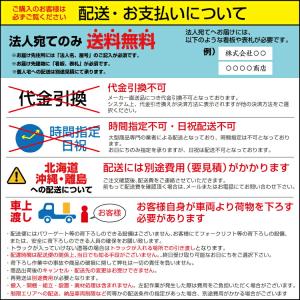 予約受付(8月下旬入荷予定) アール・エフ・ヤ...の詳細画像4