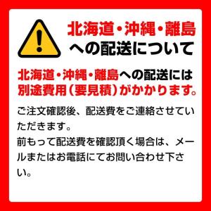 【軒先渡し】テンキー式 耐火金庫 エーコー E...の詳細画像3