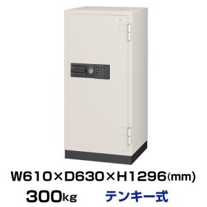 エーコー（EIKO） 耐火金庫 ダイヤル錠 641L 1時間 金庫 保管庫 学籍簿