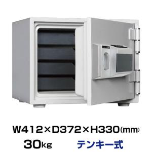 エーコー（EIKO） 家庭用 小型 耐火金庫 テンキー式 プッシュ式 A4収納