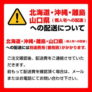 予約受付(納期未定) ダイヤセーフ 耐火金庫 ...の詳細画像3