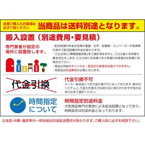 (受注生産品) 設置見積必要商品 虹彩・顔認証...の詳細画像2