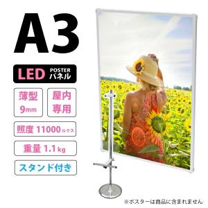 薄型高輝度LEDポスターパネル (A2サイズ) 屋内用 LB-A2TH : オフィス