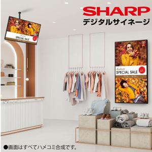 予約受付(11月下旬入荷予定) 【セット商品】...の詳細画像1