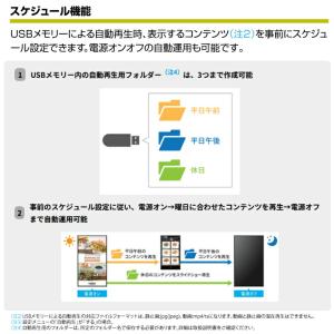 予約受付(11月下旬入荷予定) 【セット商品】...の詳細画像3