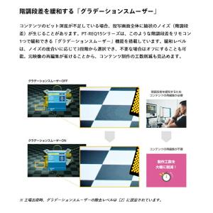 (受注生産品) パナソニック DLPプロジェク...の詳細画像4