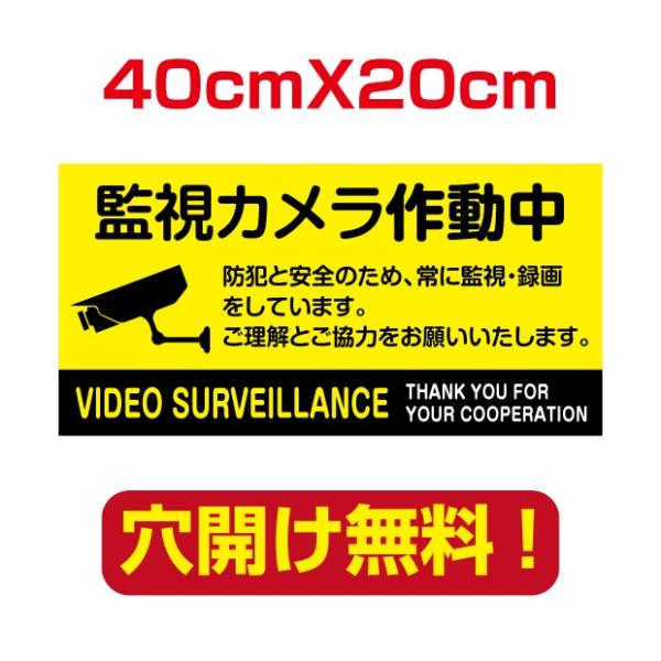 【送料無料】【監視カメラ作動中】40cm*20cm プレート看板 高耐久性 看板 標識 屋外対応 オ...