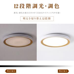 シーリングライト 12畳 14畳 大型 照明器...の詳細画像5