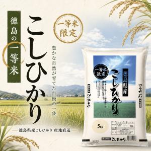 徳島県産 コシヒカリ 一等米 精米 米 5KG 令和7年産 単一原料米 国産 白米 米 お米 徳島米 家庭用 大容量 定食 ご飯 お弁当 粘り ふっくら 送料無料 生活応援