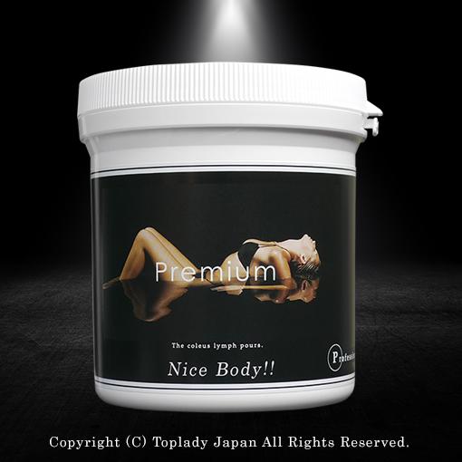 リ・モデルプレミアム 大容量500g　 グッズ付き！洗い流さない本格スリミングクリーム