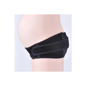 完全閉店セール開催中! 全品特価で最終販売 犬...の詳細画像1