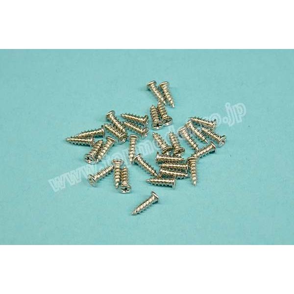テトラ　TET01881  スケール機用飾りビス 2x6 白