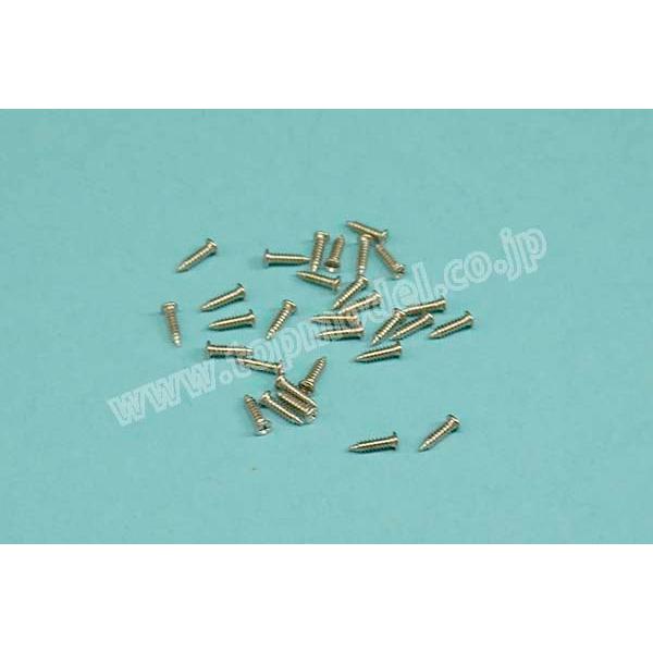 テトラ　TET01888  スケール機用飾りビス 1.7x6 白