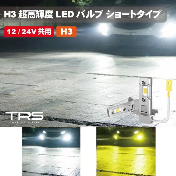 TRS H3 超高輝度LEDバルブ ショートタイプ 12V 24V 2個 防水 IP68 ファンレス...