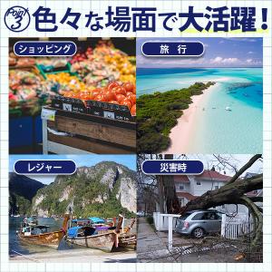 キャリーカート 耐荷重75kg 軽量 アルミ ...の詳細画像3