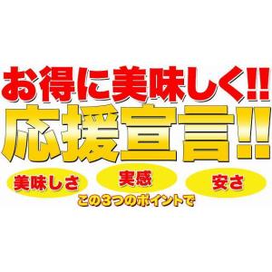 特価セール 訳あり 固焼き 豆乳 おからクッキ...の詳細画像5