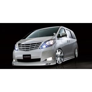 20系アルファード ヴェルファイア キャンバープレート 1度 3度