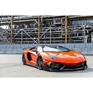 ランボルギーニ アヴェンタドール GT Type2 リアディフューザー
