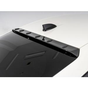 RS-R_RS☆R DOWN]FL5 シビック_タイプR(2WD_2000 TB_R4/09〜)用車検