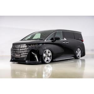 40系 アルファード(ユニバーサルステップ付車）MODELLISTA サイド