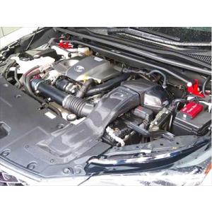 LEXUS NX AGZ10/AGZ15 カーボンインテークシステム