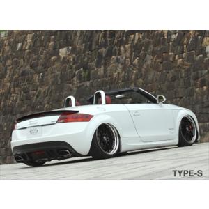 AUDI TT 8J GECKO PROTO TYPE ボディキット : エアロ.カスタムパーツの