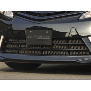 ACR50/55，GSR50/55 エスティマ ”CODE-12” FRONT BUMPER 専用 ...