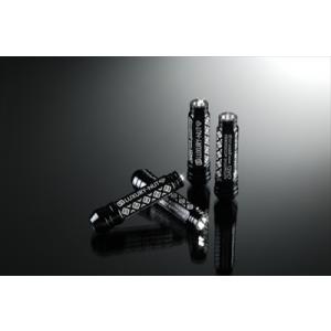 ギャルソン ラグナット （4個入り） Lサイズ(101mm) M12× P1.5