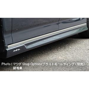 ビアンテ コンプリートキット（3点） 塗装取付込 : エアロ.カスタム
