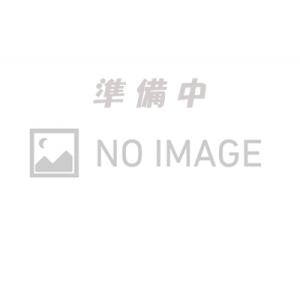 JB64W ジムニー little D リアバンパー専用 バックカメラキット