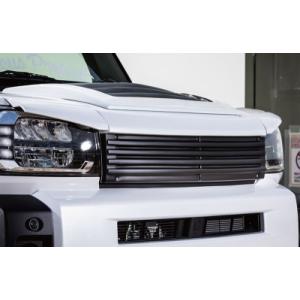 LA900S/LA910S タフト フロントグリル用 オプションアイライン 塗装済