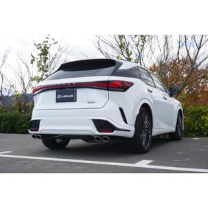 RS★R　車高調セット　LEXUS　RX レクサスRX専用 車高調キット(RS-R Best-i Active)の販売ページ