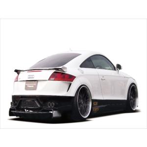 AUDI TT 8J GECKO PROTO TYPE ボディキット : エアロ.カスタムパーツの