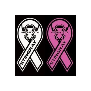 ラパン He21s 車種名入りリボンステッカー カラー ピンク エアロ カスタムパーツのtoptuner 通販 Paypayモール