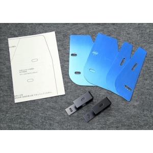 デリカ スペースギア 後期 フロントグリル FRP 塗装済み : エアロ