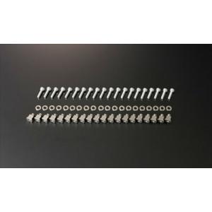 シビック TYPE-R ユーロ FN2 6-POTキャリパーキット専用 プッシュピンセット(ローター...