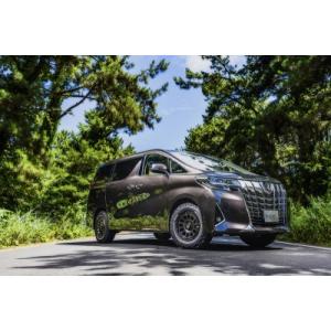 30 アルファード 2WD リフトアップサスペンション 轟 1台分 : エアロ