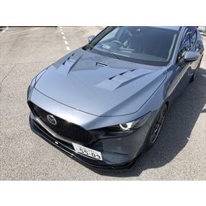 オートエクゼ オートエグゼ(AUTOEXE) サイドアンダースポイラー ピアノ